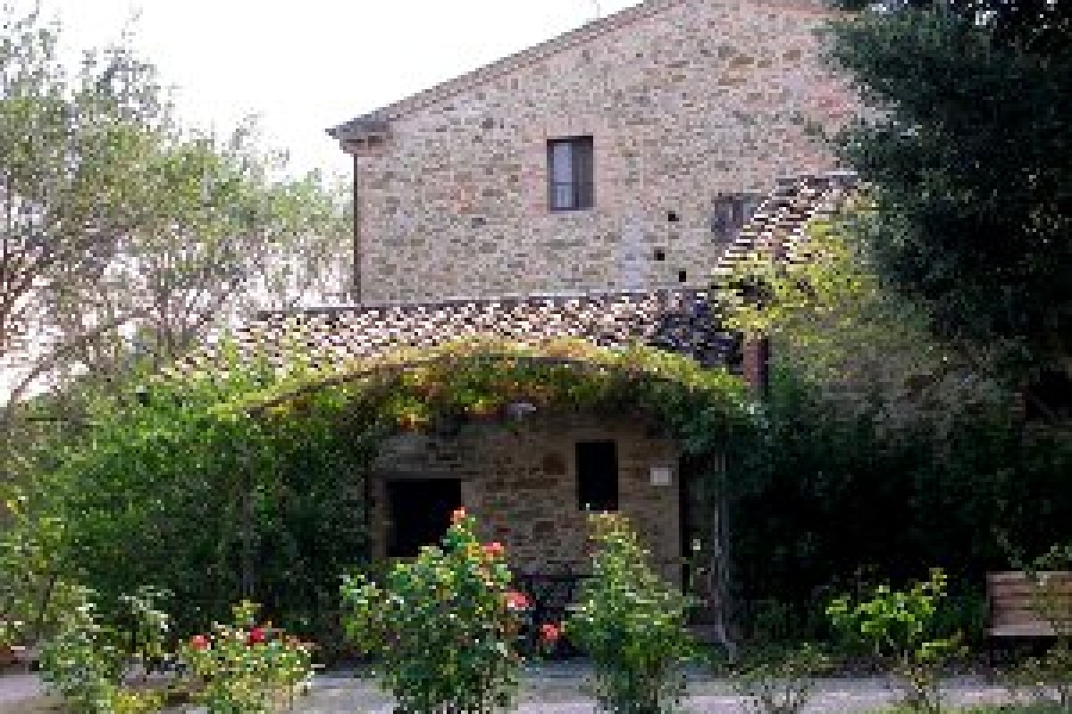 La carezza del sole